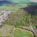 Ancient woodland near Doncaster up for auction.