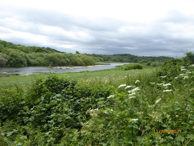 A flash of the River Don