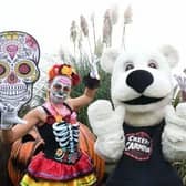 Creepy Carnival at Yorkshire Wildlife Park, October 23, 2021