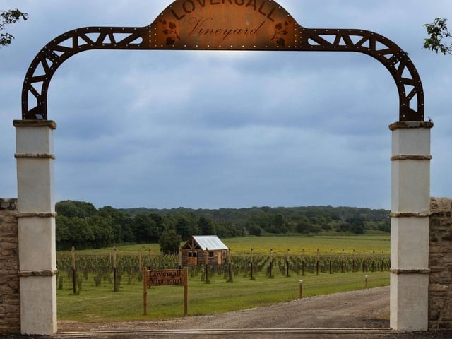 Loversall vineyard