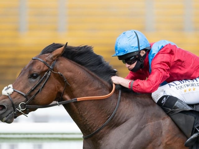 Veteran trainer Sir Michael Stoute is on the crest of wave after winning the Derby at Epsom, and he will be hopeful of adding to his magnificent tally of 82 winners at Royal Ascot with Bay Bridge in the Prince Of Wales's Stakes on Wednesday. OK, he must face aforementioned Japanese raider Shahryar, but his progress through the middle-distance ranks has been eyecatching.