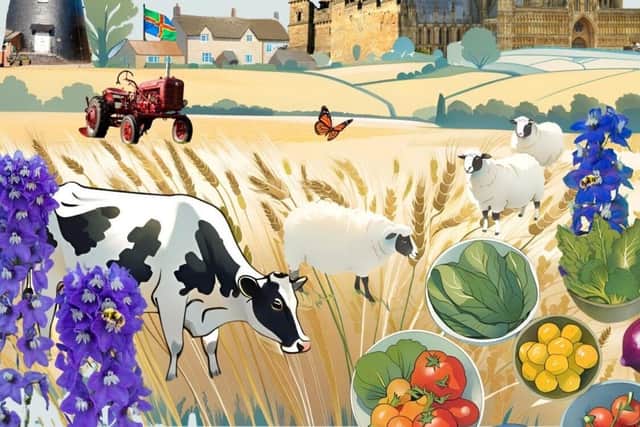 Lincolnshire Day recipe book cover