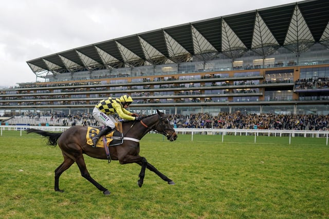 Powering to victory in front of Ascot's majestic grandstand last month is SHISHKIN, making a stunning comeback to form after a blip in the Champion Chase at the 2022 festival. The step-up in trip to 2m4f proved ideal for Nicky Henderson's 9yo charge and he is now a warm favourite to add the Ryanair Chase on Thursday (2.50) to his previous two festival triumphs.