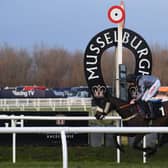 Action from Musselburgh. Photo: Jeff J Mitchell/Getty Images