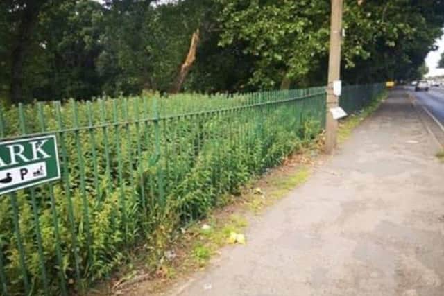 Dozens of bows have been ripped down from Sandall Park.