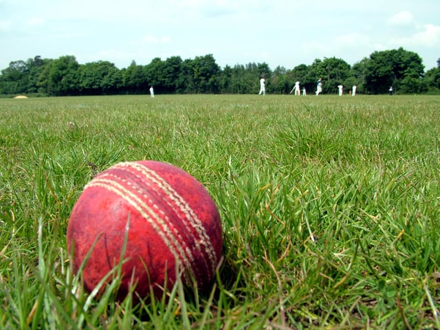 Cricket