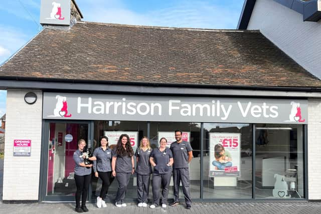 Cherene Hill, Chloe White, Izzy Cook, Rebecca Skeet, Vicki Emmerton and Ximo Huertas from Harrison Family Vets in Doncaster.