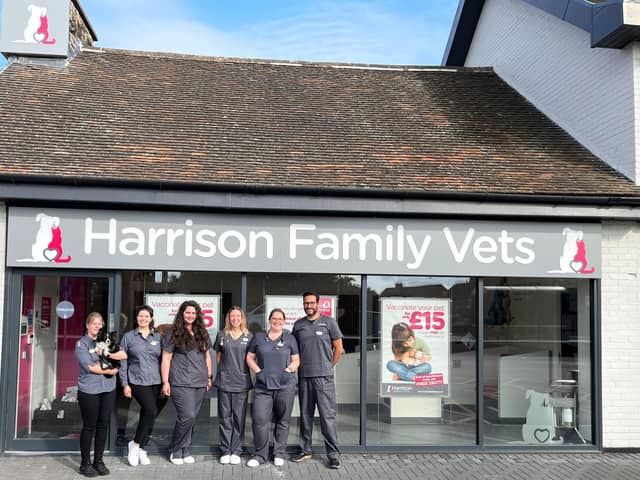 Cherene Hill, Chloe White, Izzy Cook, Rebecca Skeet, Vicki Emmerton and Ximo Huertas from Harrison Family Vets in Doncaster.