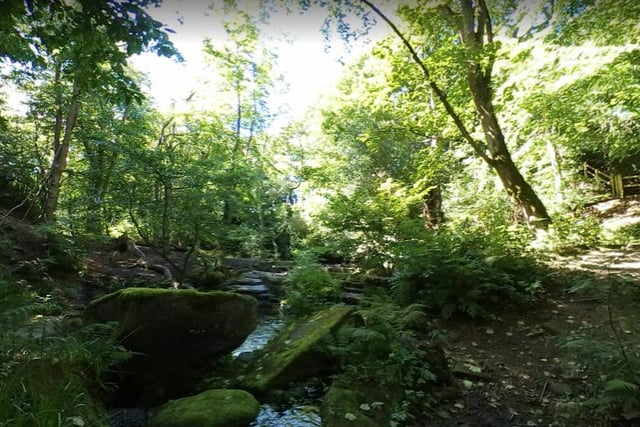 You can enjoy a variety of refreshing streams in the picturesque setting that is Rivelin Valley.