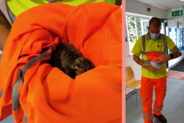The kittens were brought in by a workman who used his hardhat to keep the cats safe.