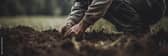 Prepare your soil
