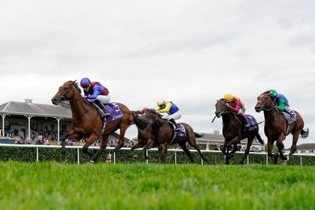 Ryan Moore riding Luxembourg to victory in the Vertem Futurity Trophy Stakes at Doncaster Racecourse in October last year. Photo: Alan Crowhurst/Getty Images