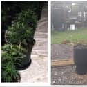 Police have donated cannabis plant pots to a community gardening project.