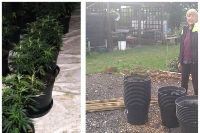 Police have donated cannabis plant pots to a community gardening project.