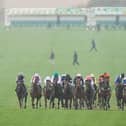 Action from Newmarket Racecourse. Photo by Alan Crowhurst/Getty Images