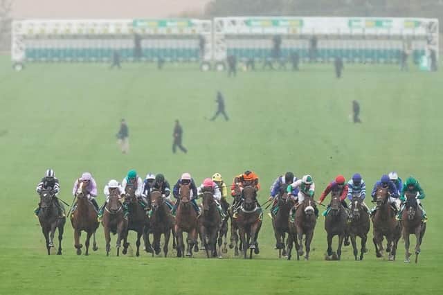 Action from Newmarket Racecourse. Photo by Alan Crowhurst/Getty Images