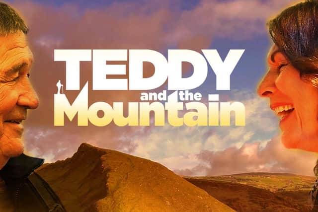 Teddy and the Mountain