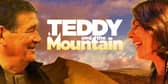 Teddy and the Mountain
