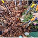 Muslim women from across Doncaster joined forces to plant trees.