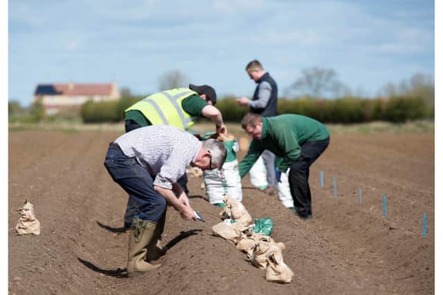 Aldi has linked up with E Park and Sons for its supplies of potatoes.