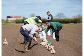 Aldi has linked up with E Park and Sons for its supplies of potatoes.