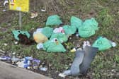 Discarded rubbish is severely impacting the health of the UK's wildlife.
