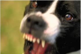 Doncaster has been named one of the worst places in the UK for barking and noisy dogs.