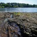 Raw sewage was released into open water in Doncaster almost 1,500 times in 2022