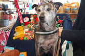 Zeke has spent over 600 days at two RSPCA centres in Doncaster and Leicester.
