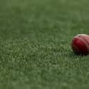 Cricket