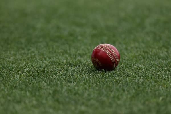 Cricket