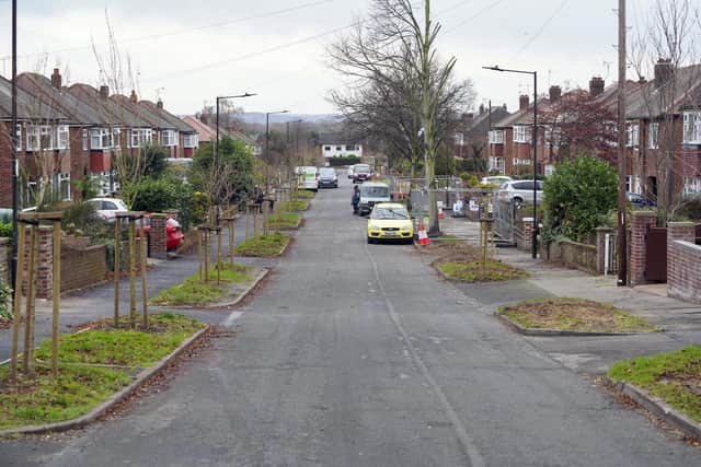 Tree protest in middlefield Road in Doncaster. Picture Scott Merrylees