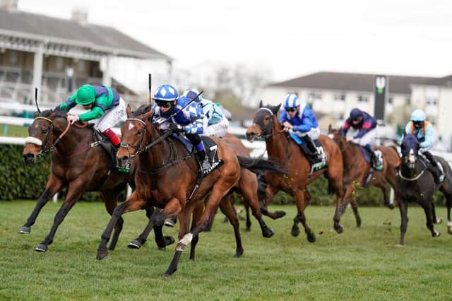 Benoit de la Sayette riding Haqeeqy (blue/white) won The Unibet Lincoln at Doncaster on Saturday. Photo: Alan Crowhurst/Getty Images