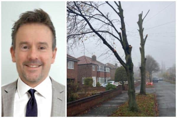 DMBC’s top environment boss Dan Swaine, who has been in the job less than four weeks, said they ‘didn’t take the decision lightly’ in felling the trees on Middlefield Road in Bessacarr