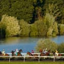 Kempton Races. Photo by Alan Crowhurst/Getty Images