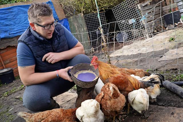 Brad, pictured feeding his Chickens. Picture: NDFP-20-10-20 Duffy 2-NMSY