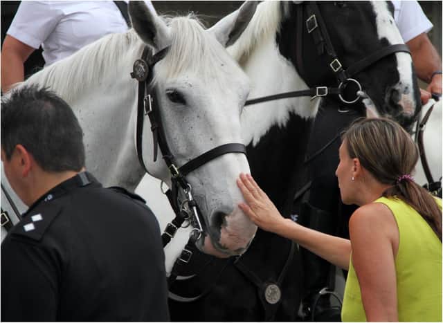 Police have told Leger revellers to look after each other.
