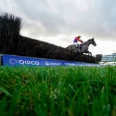 Action from Ascot. Photo: Alan Crowhurst/Getty Images