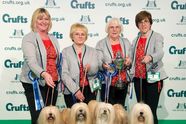 Breeders Competition Final winners Team Timazinti on the second day of Crufts 2020.