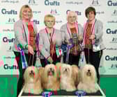 Breeders Competition Final winners Team Timazinti on the second day of Crufts 2020.