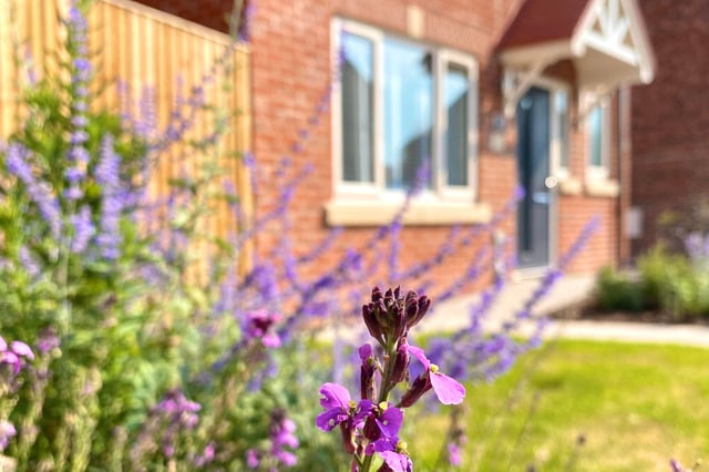 The showhome is opening soon