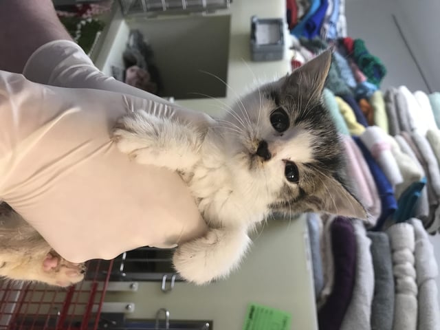 The day she was found abandoned