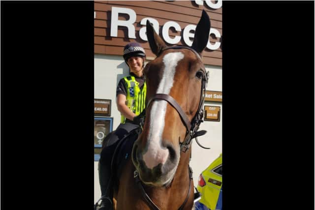 Police horse Hoober has died after a brief cancer fight.