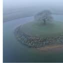 This stunning aerial picture of a single tree on an island near Doncaster has gone viral. (Photo: The Drone Ranger).