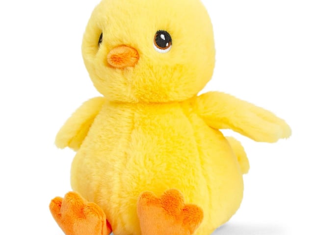 Fluffy Chick