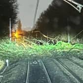 Strong winds brought a tree down on railway lines between Doncaster and Leeds.