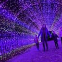 Yorkshire Wildlife Park's Winter Illuminations are back.