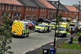 Two women in hospital after being attacked by dog in Doncaster street