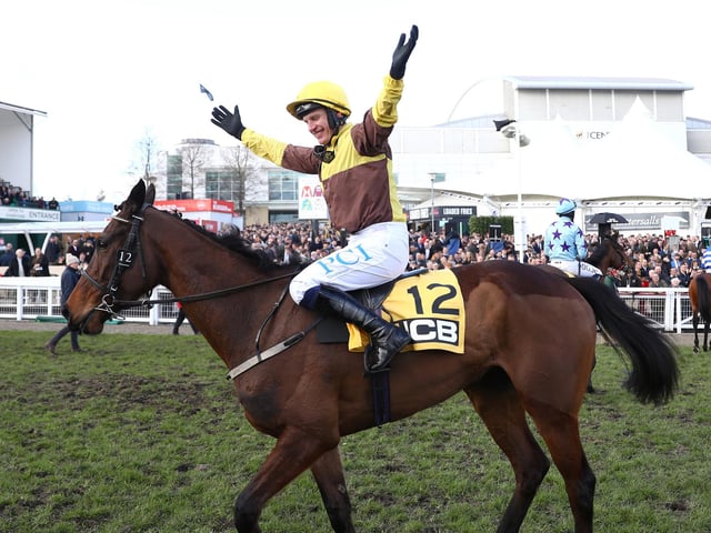 And finally, one for the lucky last. Willie Mullins is, of course, the best trainer of them all over jumps, but he also likes nothing better than a crack at the long-distance races at Royal Ascot and, in Burning Victory, he could have the ideal type for the Queen Alexandra Stakes on Saturday. She's a classy hurdler but when last seen on the Flat, she was a fine second in the Cesarewitch. (PHOTO BY: Michael Steel/Getty Images)