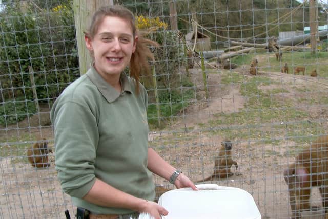 Staff feeding baboons at Yorkshire Wildlife Park, near Doncaster